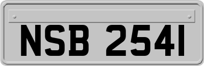 NSB2541