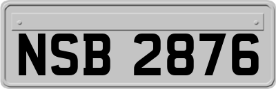 NSB2876