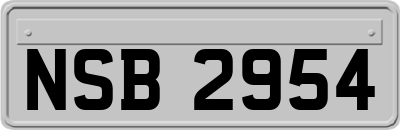 NSB2954