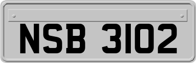 NSB3102