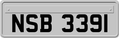 NSB3391