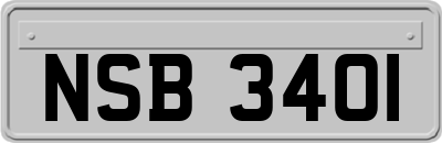 NSB3401