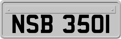 NSB3501