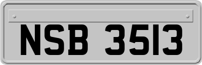 NSB3513