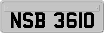 NSB3610