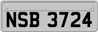 NSB3724
