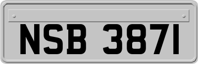 NSB3871