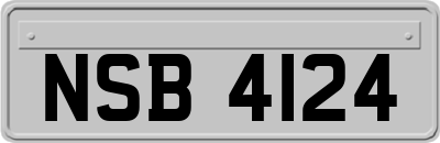 NSB4124