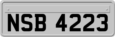 NSB4223