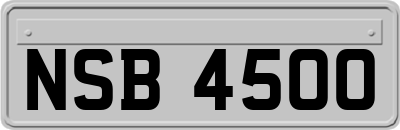 NSB4500