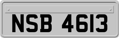 NSB4613