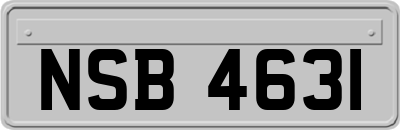 NSB4631