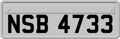 NSB4733