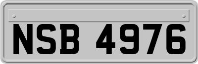 NSB4976