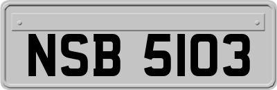 NSB5103