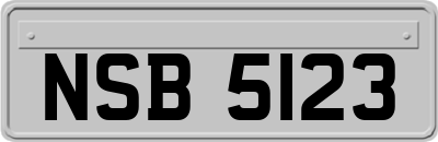 NSB5123