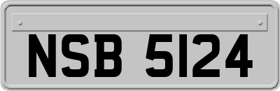 NSB5124