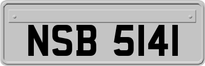 NSB5141