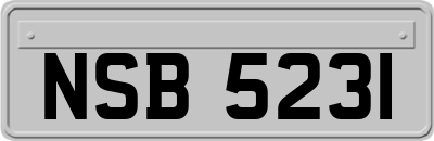 NSB5231
