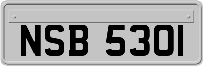 NSB5301