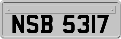 NSB5317
