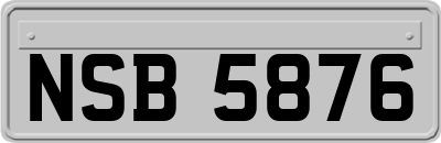 NSB5876