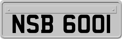 NSB6001