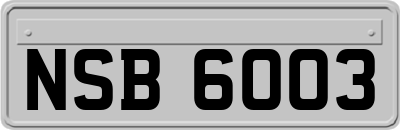 NSB6003