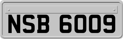 NSB6009