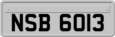 NSB6013