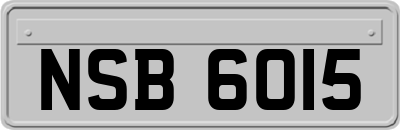 NSB6015