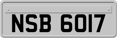 NSB6017