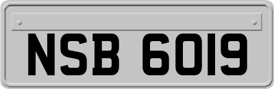 NSB6019