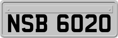 NSB6020