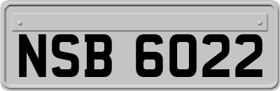 NSB6022