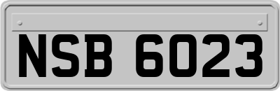 NSB6023