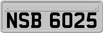 NSB6025