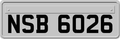 NSB6026