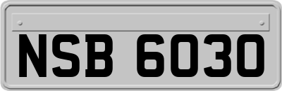 NSB6030