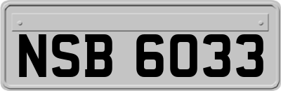 NSB6033