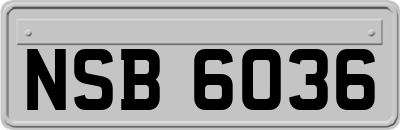 NSB6036