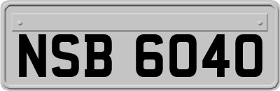 NSB6040