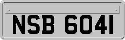 NSB6041