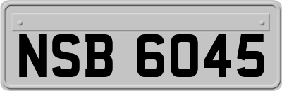 NSB6045