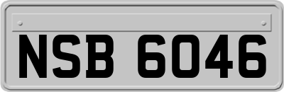 NSB6046