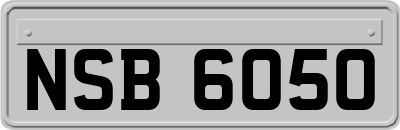 NSB6050