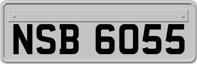 NSB6055