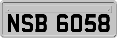 NSB6058