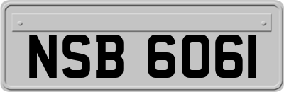 NSB6061