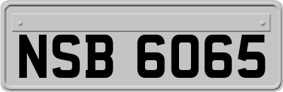 NSB6065